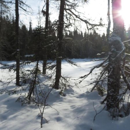 Résidence touristique Lodge des Bois Saint-Félix-d'Otis Esterno foto