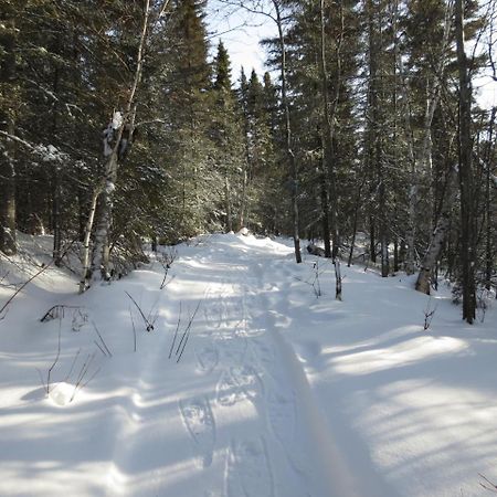 Résidence touristique Lodge des Bois Saint-Félix-d'Otis Esterno foto