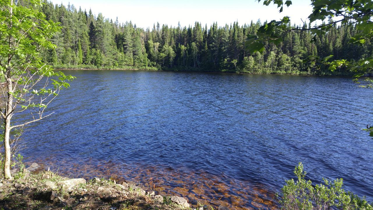 Résidence touristique Lodge des Bois Saint-Félix-d'Otis Esterno foto