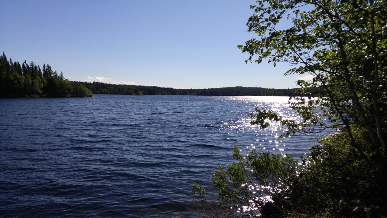 Résidence touristique Lodge des Bois Saint-Félix-d'Otis Esterno foto