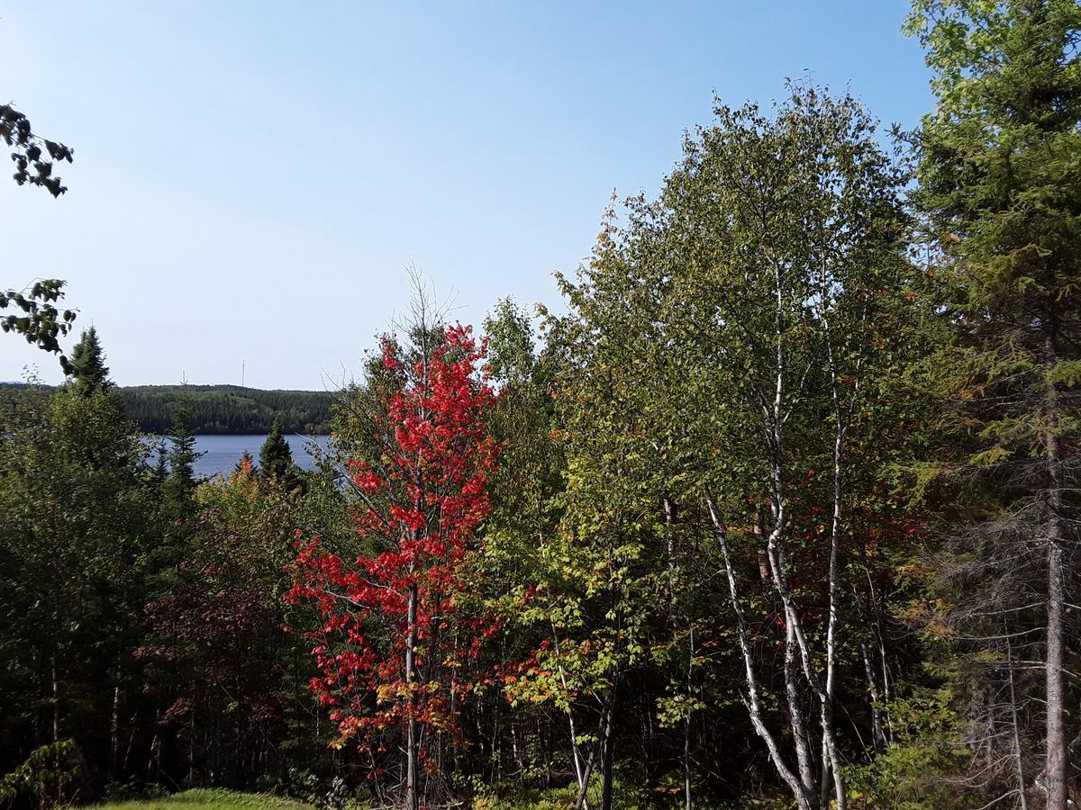 Résidence touristique Lodge des Bois Saint-Félix-d'Otis Esterno foto
