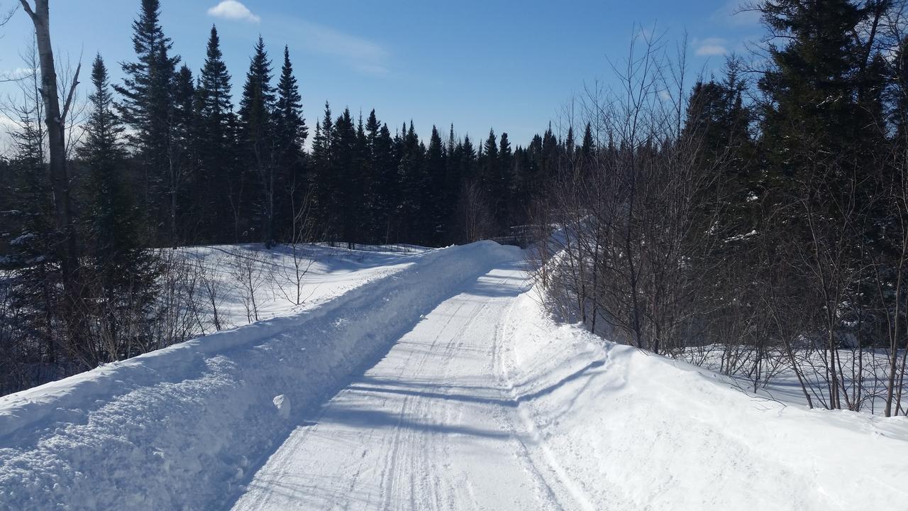 Résidence touristique Lodge des Bois Saint-Félix-d'Otis Esterno foto