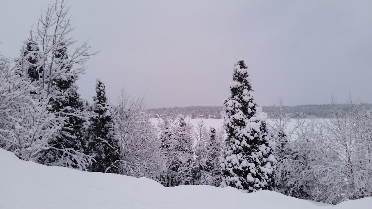 Résidence touristique Lodge des Bois Saint-Félix-d'Otis Esterno foto