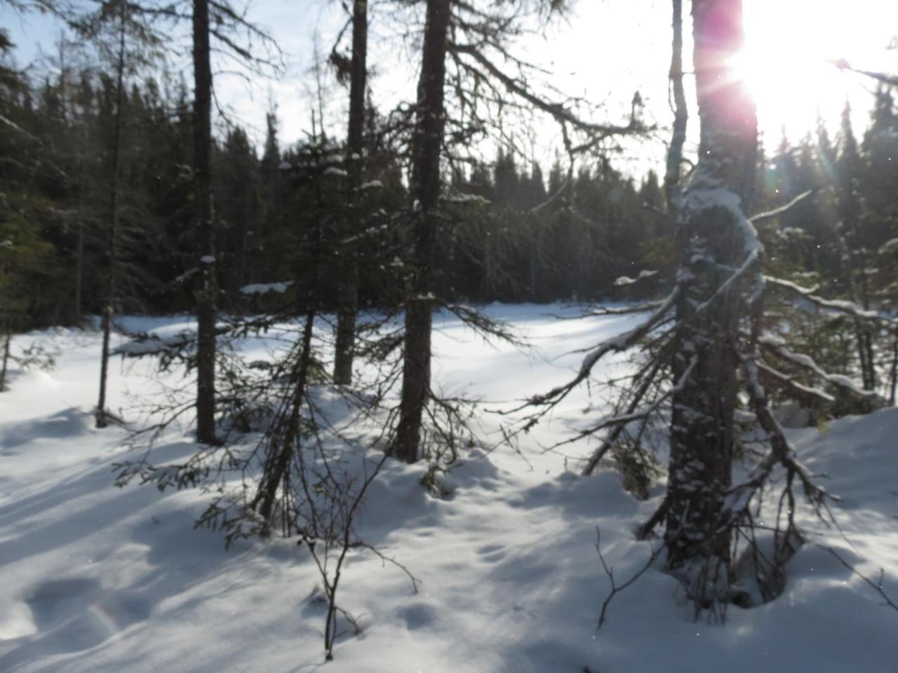 Résidence touristique Lodge des Bois Saint-Félix-d'Otis Esterno foto