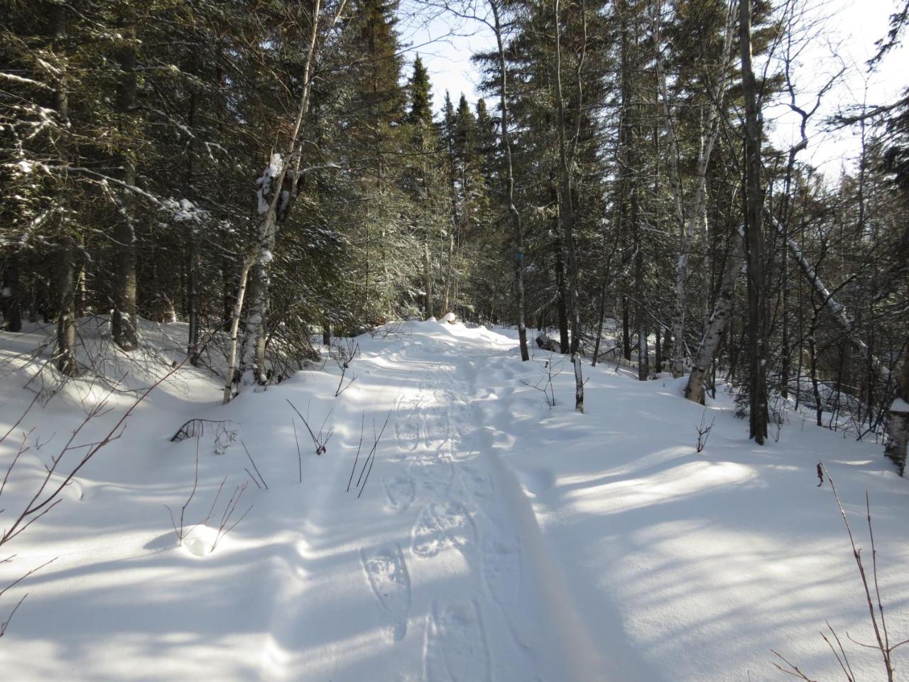 Résidence touristique Lodge des Bois Saint-Félix-d'Otis Esterno foto
