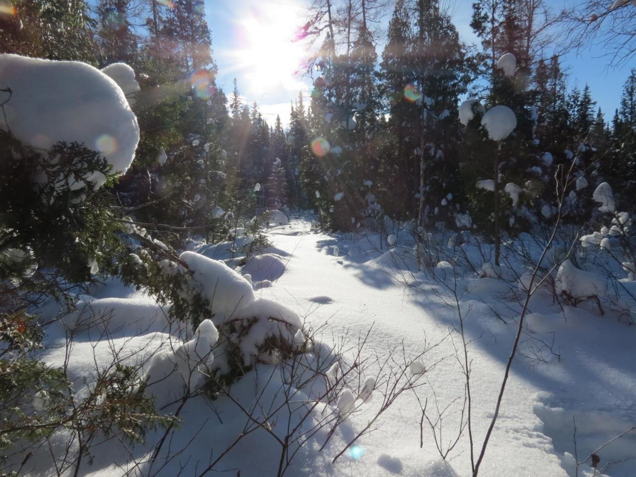 Résidence touristique Lodge des Bois Saint-Félix-d'Otis Esterno foto